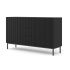 RAVENNA Cabinet 150 2D3S foil MDF black, black frame