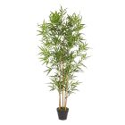 H155CM BAMBOO PLANT W-POT