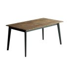 Extendable dining table PIENA 160-200/90/75cm