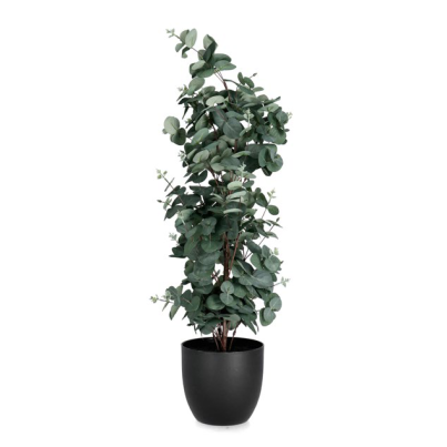 Bizzotto Eucalyptus Plant in Pot H90 cm