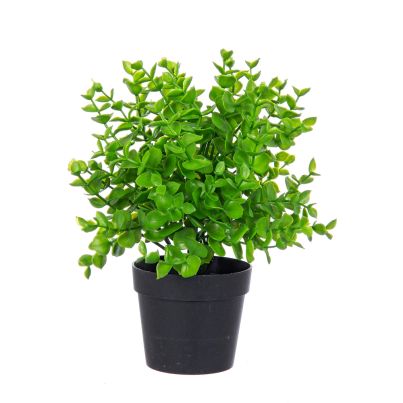 Artificial plant with pot SEDUM 25 cm. green