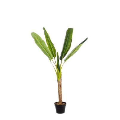 BANANO PLANT 7LEAVES H113CM W-VASE