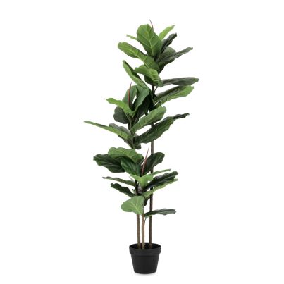 Artificial plant with pot FICUS LYRATA 145 cm. green