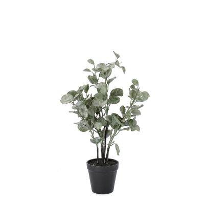 Artificial potted plant EUCALYPTUS 28x28x40 cm. green/black