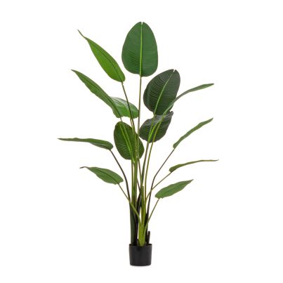 Artificial plant with pot STERILIZIA 170x32x185 cm. green