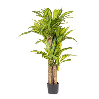 Artificial plant with pot DRACEANA 100x130 cm. green