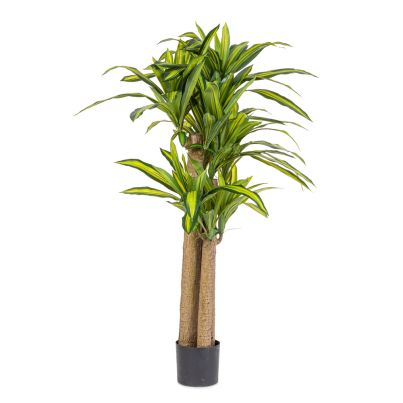 Artificial plant with pot DRACEANA 110x150 cm. green