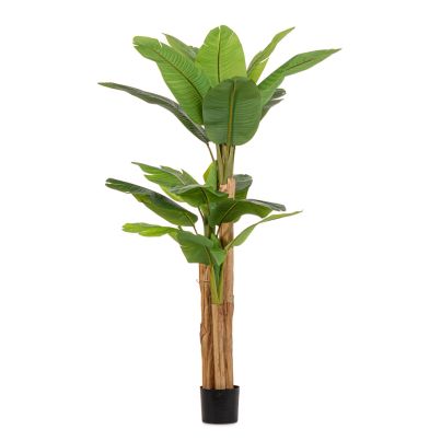 Artificial plant with pot BANANA 115x120x200 cm. green