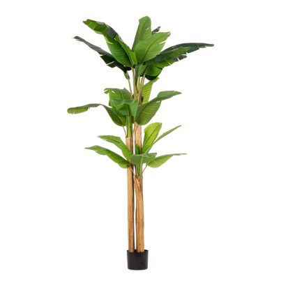 Artificial plant with pot BANANA 170x160x280 cm. green