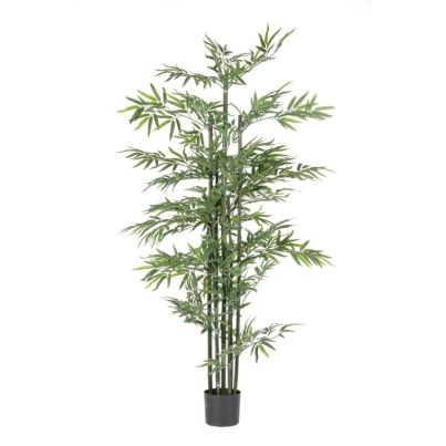 BAMBOO PLANT W-VASE H190