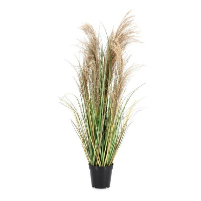 AUSTORDERIA PAMPAS PLANT W-VASE H90