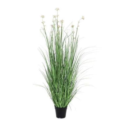 ALLIUM PLANT W-VASE H110