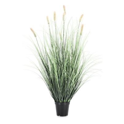 PENNISETUM PLANT W-VASE H90