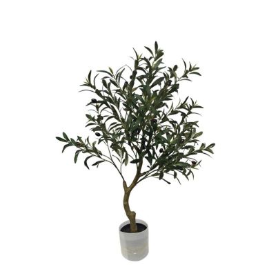BIZZOTTO Olive Tree in Pot H90
