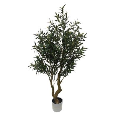 BIZZOTTO Olive Tree in Pot H150