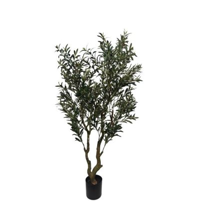 BIZZOTTO Olive Tree in Pot H180