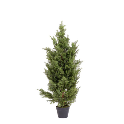 Bizzotto Cypress Plant in UV Pot H120 cm