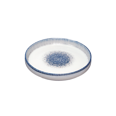 Nordic dinner plate SATURNIA Nancy, 28 cm, white/blue