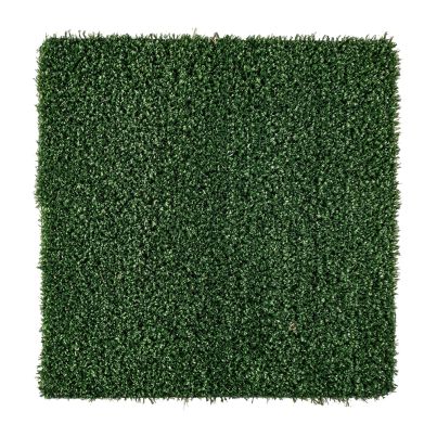 Decorative artificial grass VICTORIA 500x200 cm. green