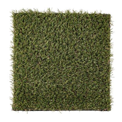 Decorative artificial grass PICCADILLY 500x200 cm. green