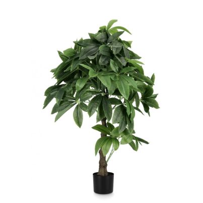 PACHIRA AQUATICA PLANT W-POT 280LEA H120