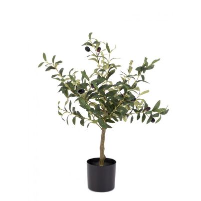 OLIVE PLANT W-VASE H65