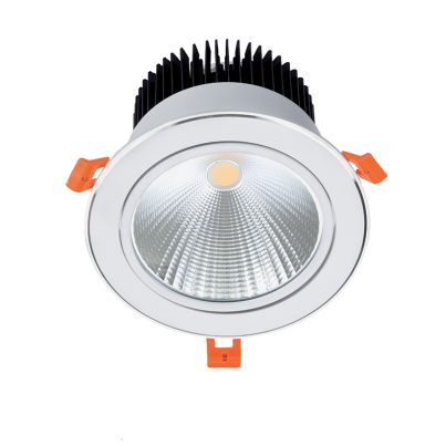 LED downlight Rdl60Cob 20W 230V 2700K 60ﾰ white