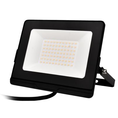 OMEGA50 LED floodlight 50W 5500K IP65