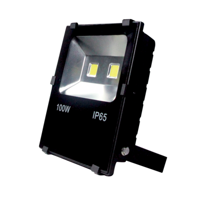 LED floodlight VEGA 100W 5500K IP65 BL