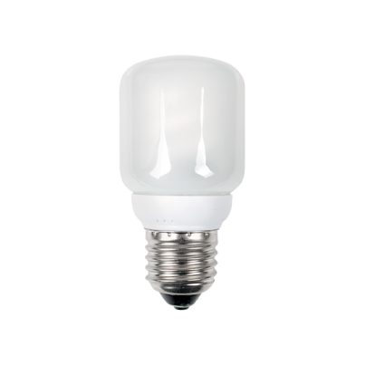 Fluorescent Lamp T45 8W 4000K E27