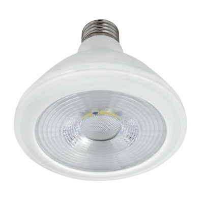 LED Lamp COB 10W 4000K