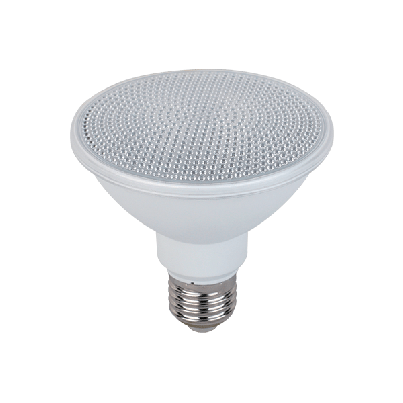 LED Lamp PAR30 15W 6400K