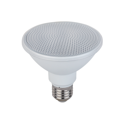 LED Lamp PAR30 15W 2700K