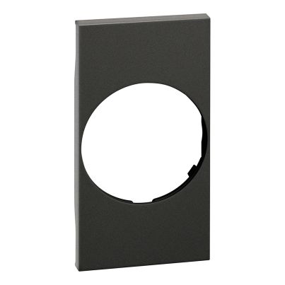 Cover Plate German-Italian Standart Socket P30 LEGRAND Living Now, French, Torch, 2-Module, Black