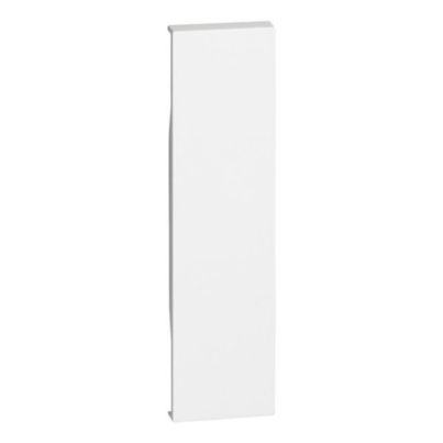 Blanking Pole Cover 1-Module LEGRAND Living Now, White