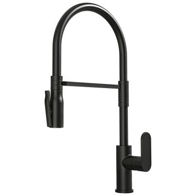 Kitchen mixer tap HEGO black matte