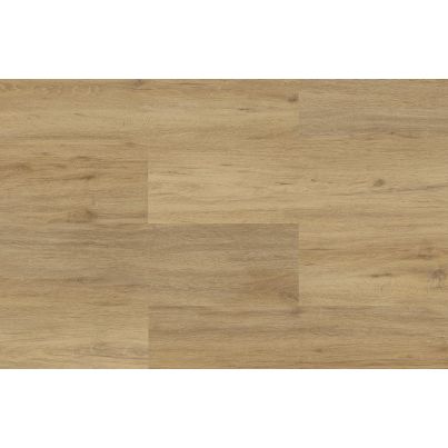 SPC Gotham Nature 5.2mm