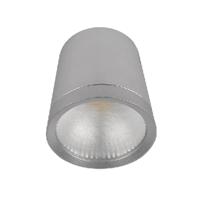 LED downlight RDLCOB 10W 230W 2700K 60 Silver