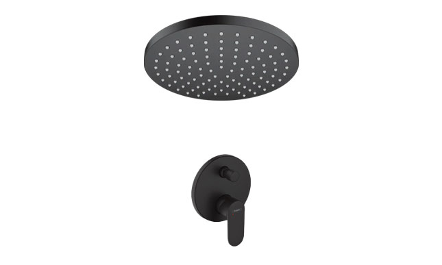 Built-in shower systems