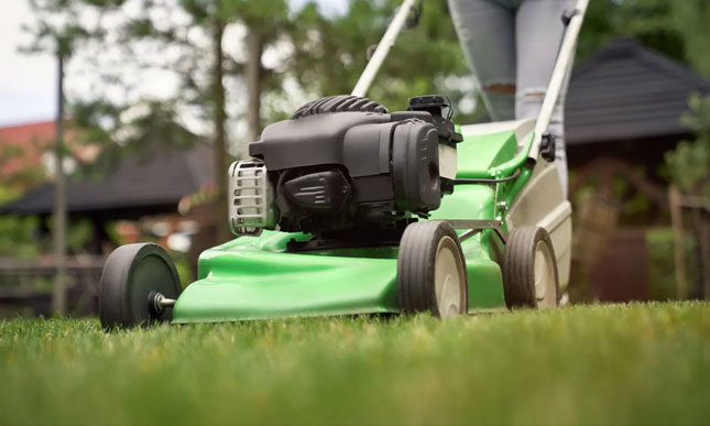 Garden Maintenance